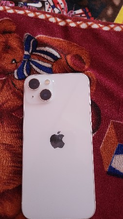 પોરબંદર કુછડી