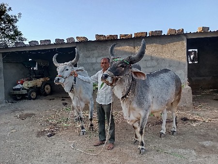 વેચવાના છે