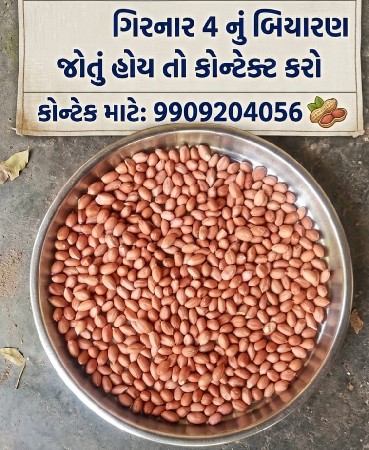 41 નંબર બી વેચવાનુ છે