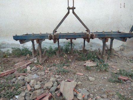 દાંતી વેશવાની છે