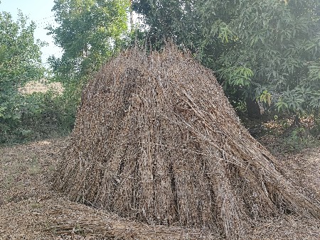 બાજરા ની કાળબ વેચવા ની સે