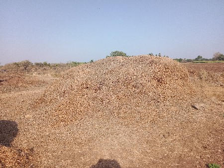 39 નંબર 2500