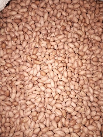 ગિરનાર 4