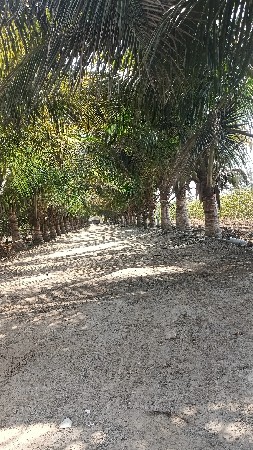 જામનગર બેડી બંદર રોડ પ્લોટ