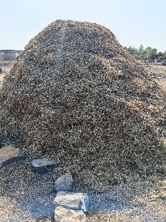 ભુકો કોરો