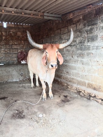 ૪ ધર
