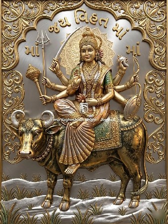 jamin veshvani se