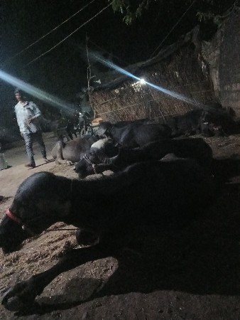 તાલુકો વંથલી જિલ્લો જુનાગઢ