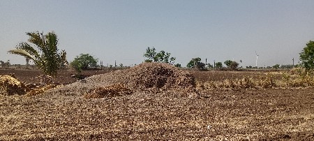 ભૂકો
