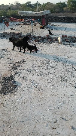 વેચવાનૂ છે