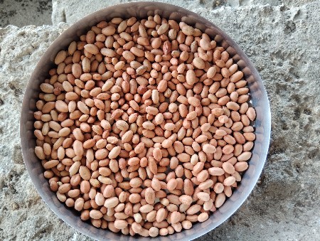 66 નંબર બિયારણ વેચવાનું છે