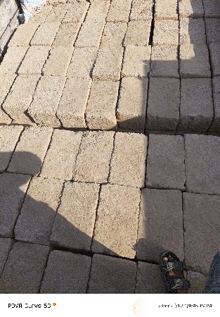 8511206276