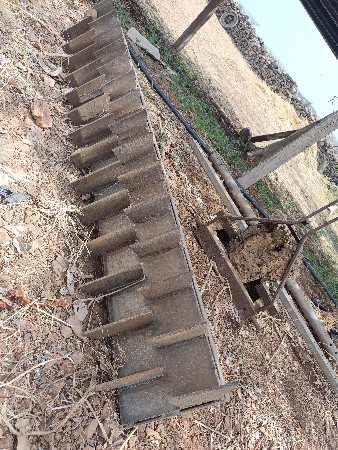 માઢ