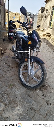 1 owner