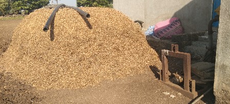 10 વીઘા નો