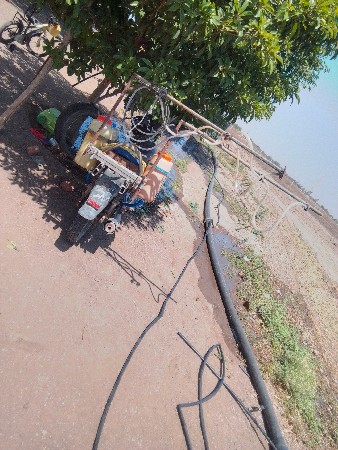 લાલપુર જૉવા મળે છે