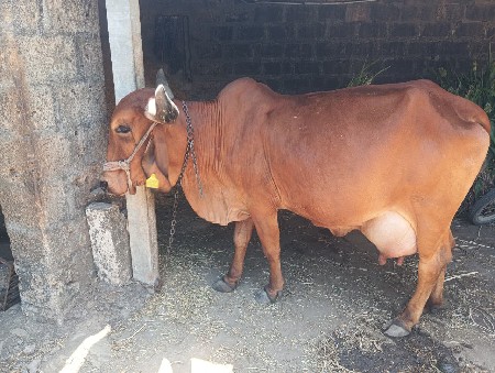 વેચવાની છે