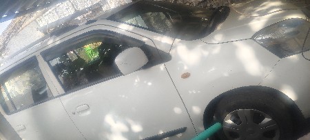 gadi vagenar