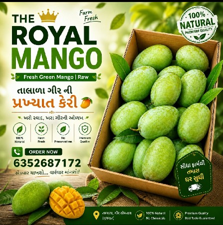 ગીર ની પ્રખ્યાત કેસર કેરી