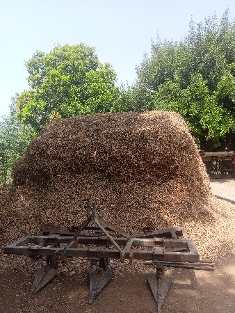 કોરો.  પા લો