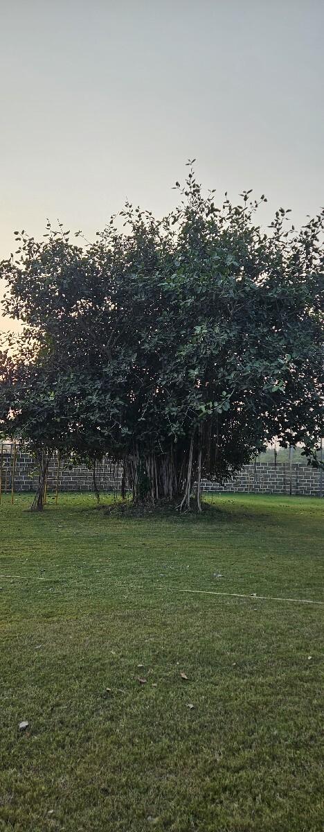 ખેતીલાયક જમીન રોડ ટચ.જુની શરત