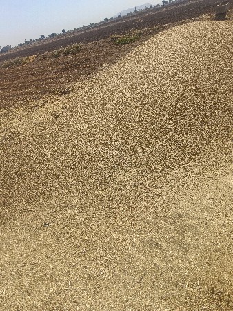 મગોટું વેચવાનું છે