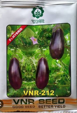 212 રીંગણી