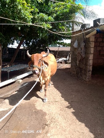 મોં.. 8758284915
આમાં ફોન કરવો