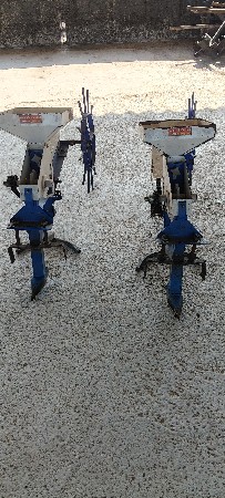 કપાસ ની ઓરણી