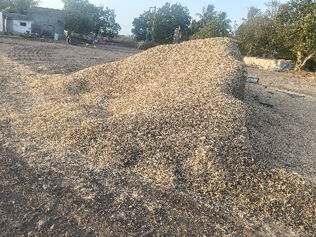 ડૂસો વેસવાનો છે