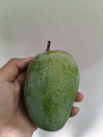 100% ઓર્ગેનિક કેરી