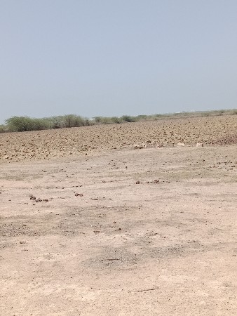 જમીન વેચવાની છે  9898245616