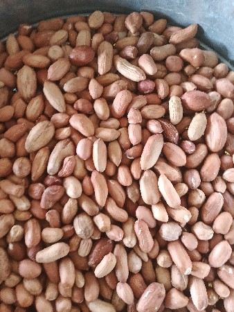 39 નંબર