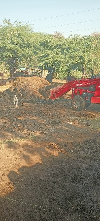 છાણિયું ખાતર છે