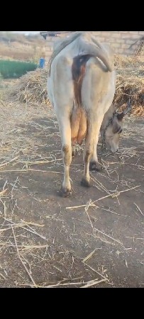 બેસવાની સે.
