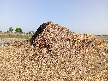 ભૂકો છે કોરો  21 વિઘા નો