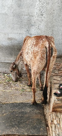 ત્રીજો મહિનો ગામ રહેલ છે