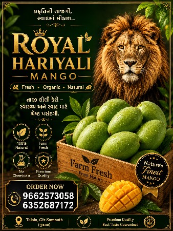 તાલાળા ગીર ની પ્રખ્યાત કેરી