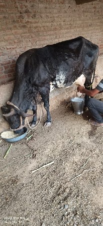 વેચવાની છે