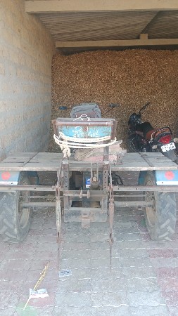 શનેડો