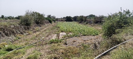 જમીન વેચવાની છે