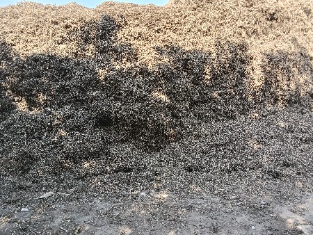 મગોટુ વેસવાનું છે.