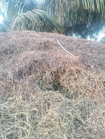 madvi no bhuko