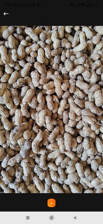 ૯૩ , નબર ને, ૫૫, નબર માડવી