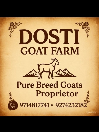 forr sell ☎️ 9714817741