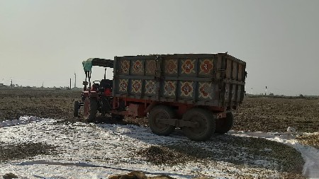 ટૉલી વૅચવાની છૅ