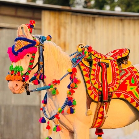 આ વસે રી  વેસ્વાનીચે
