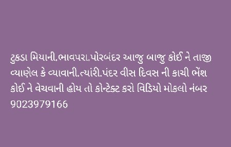 ભેંશ