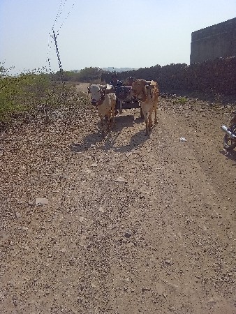 ફુલ જવાબ દારી થી દેવા ના સે