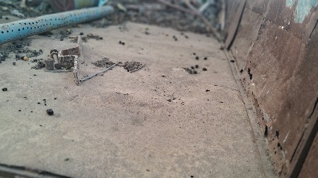 ટોલીતથાટેકટર વેશવાનાછે
